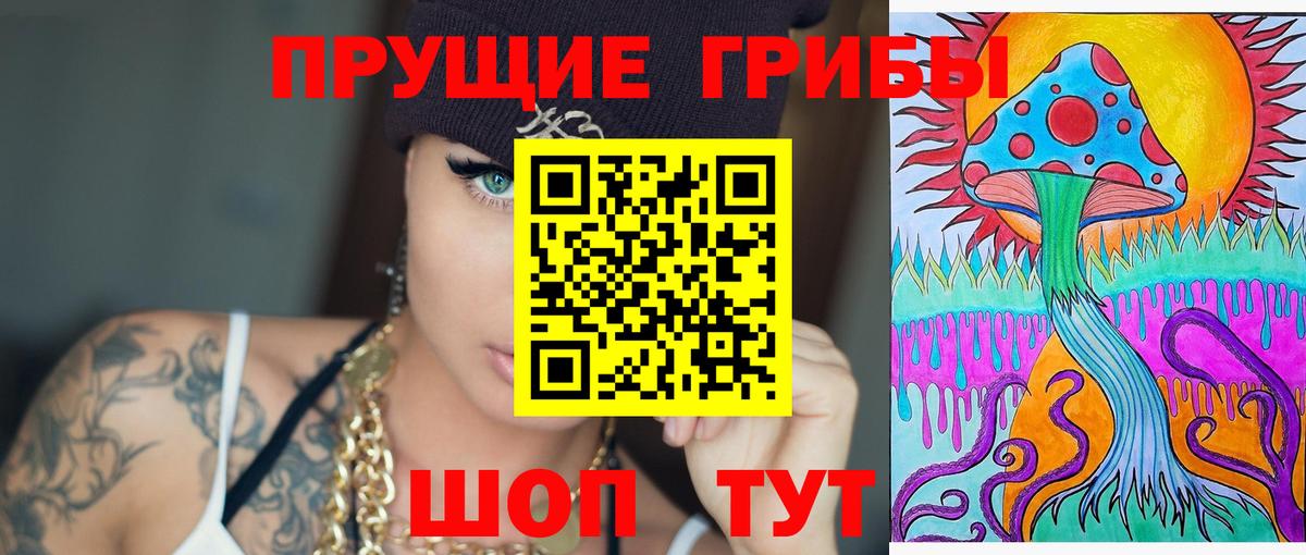 Галлюциногенные грибы Psilocybe Великий Устюг