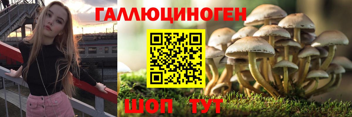 Галлюциногенные грибы ЛСД  Галлюциногенные грибы прущие грибы  Вход с VPN  Великий Устюг 